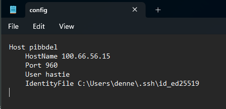 SSH config file showing custom host configuration