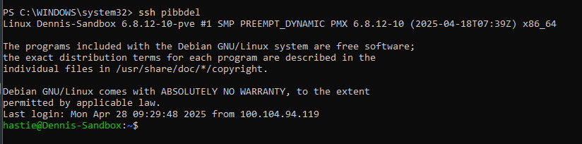 Terminal showing successful SSH connection
